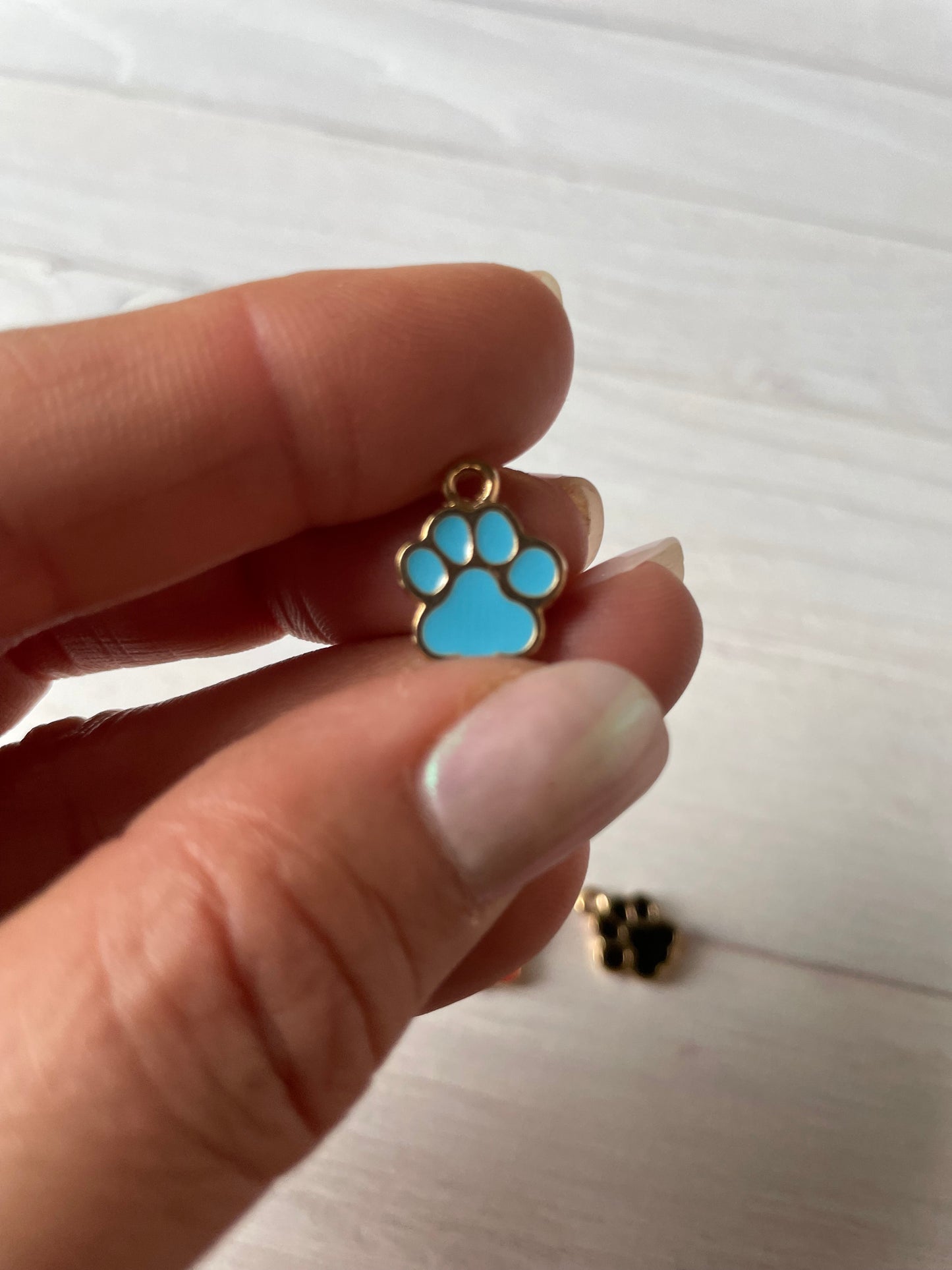 Paw Print Enamel Charm