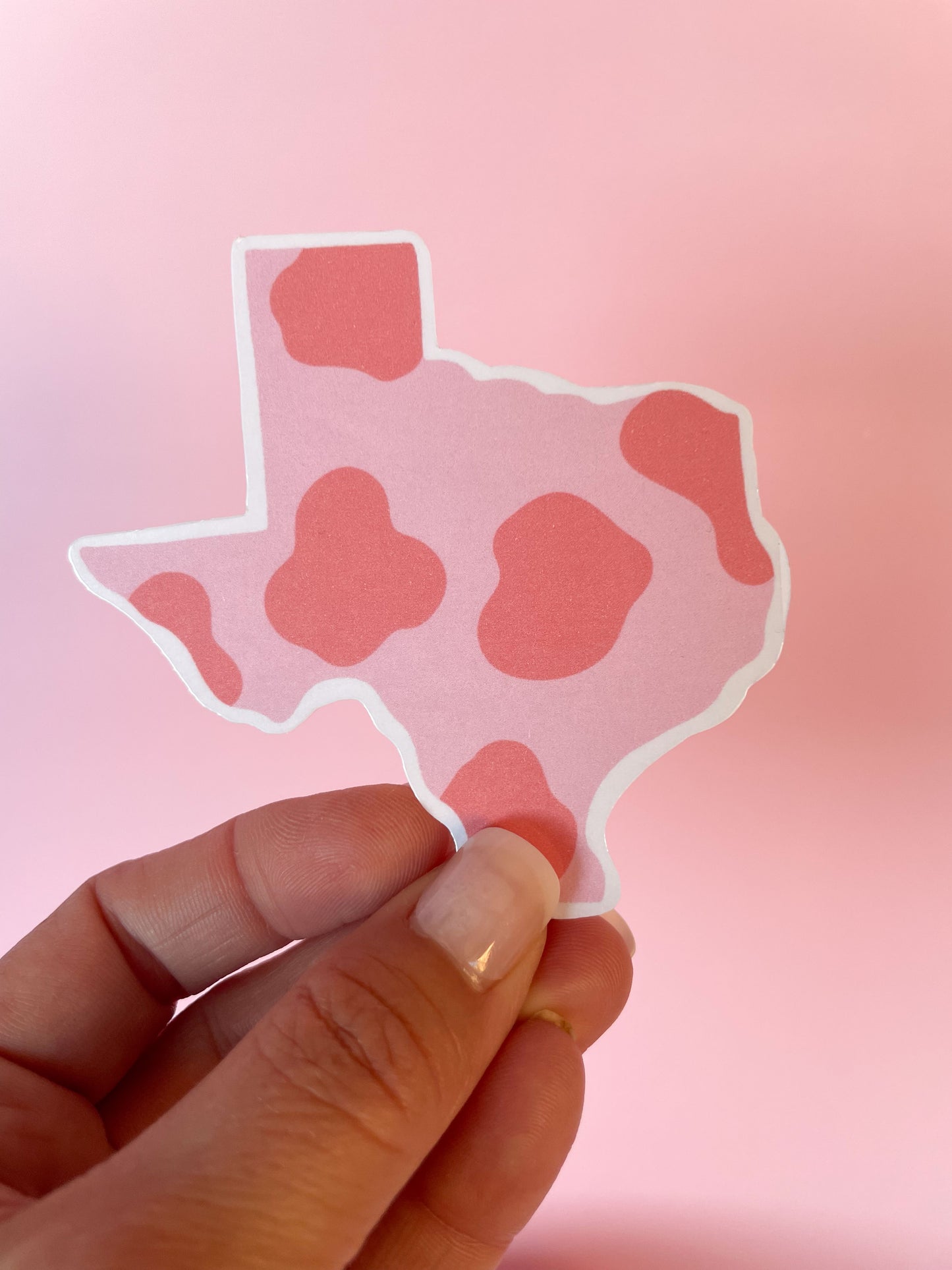 Texas Cow Print Sticker